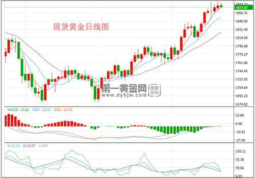 1.投资属性