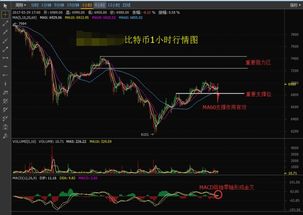 比特币行情走势图
