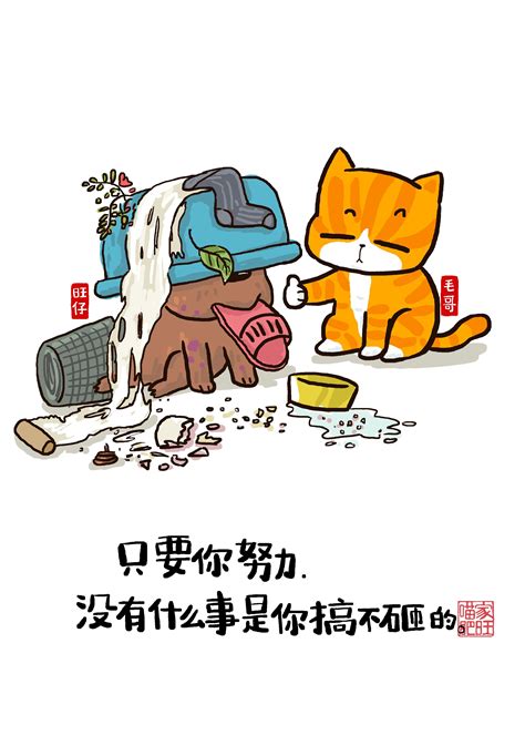 毛骗比特币