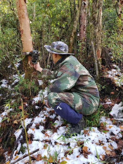 比特币泡沫