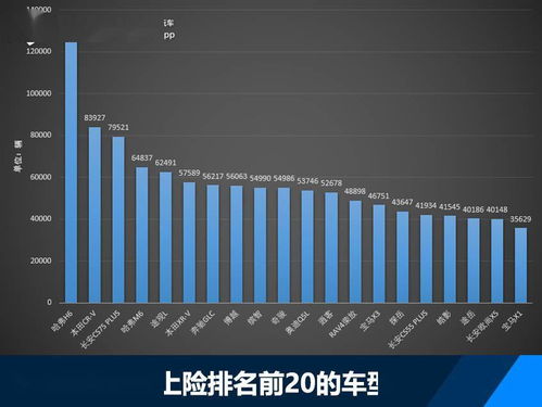 新能源汽车实训报告怎么写