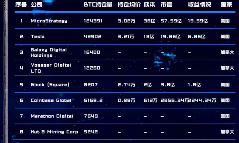 拥有比特币的公司