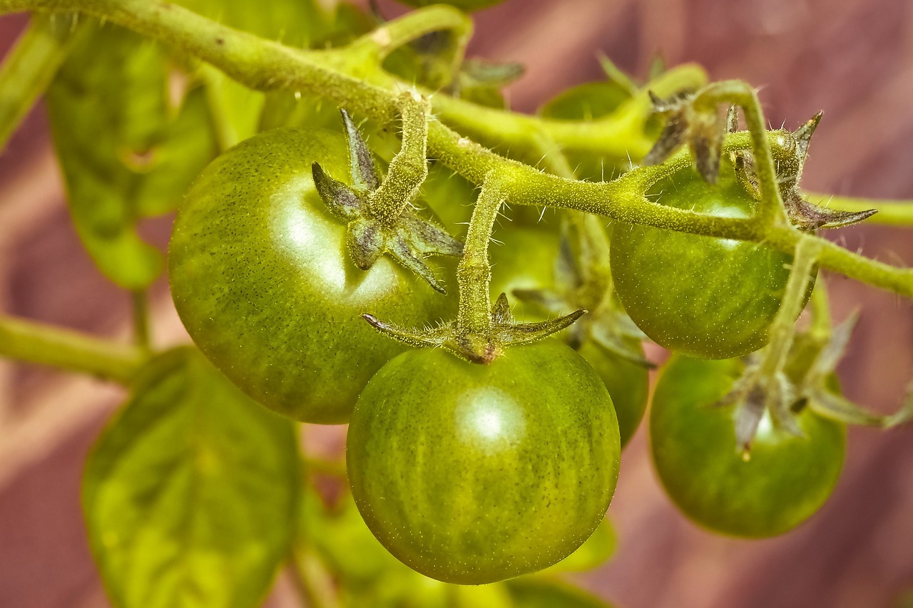 震惊！种植牙冠竟在咬黄瓜时碎裂