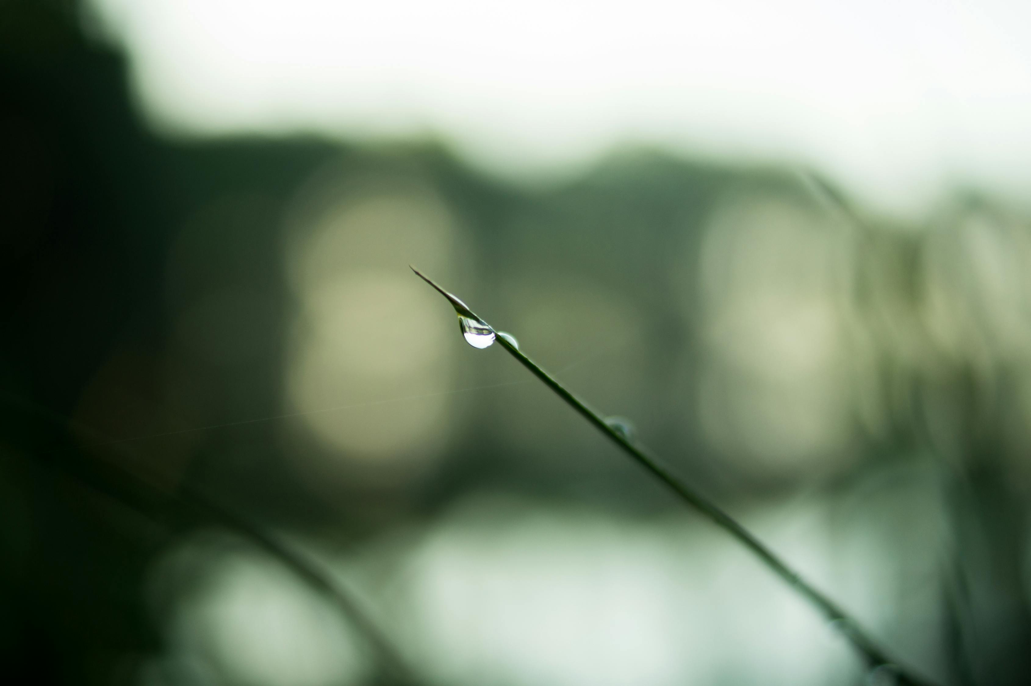 谷雨节气，春末的滋润与农耕的智慧