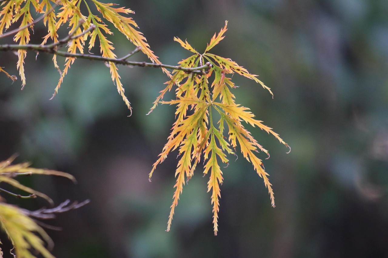 谷雨时节，春末夏初的农耕与养生之道