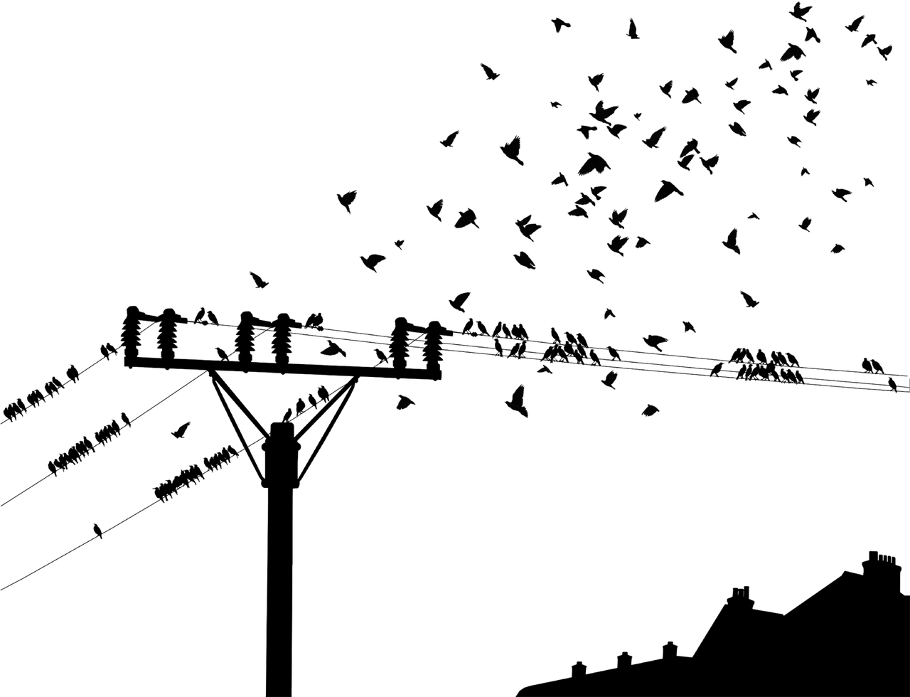 探索生命的意义，从哲学到科学，一场永无止境的旅程
