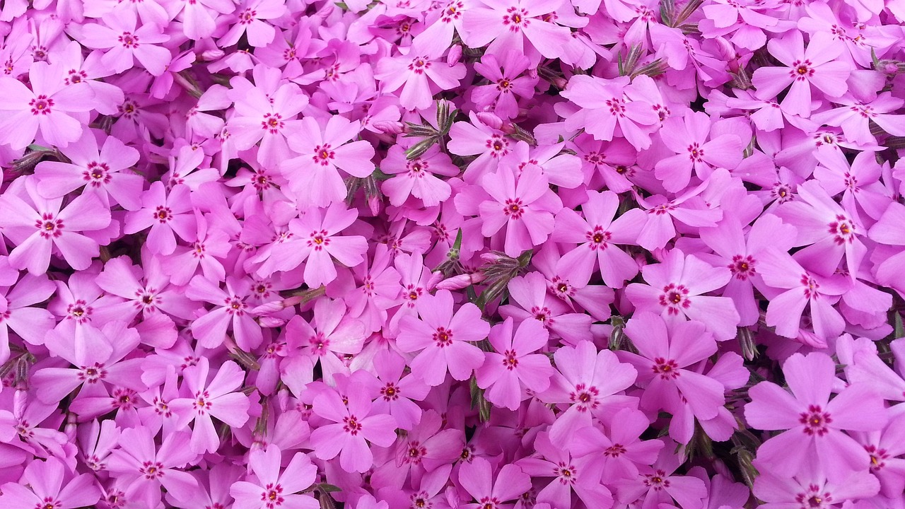 谷雨节气，春天的尾声，播种希望的季节