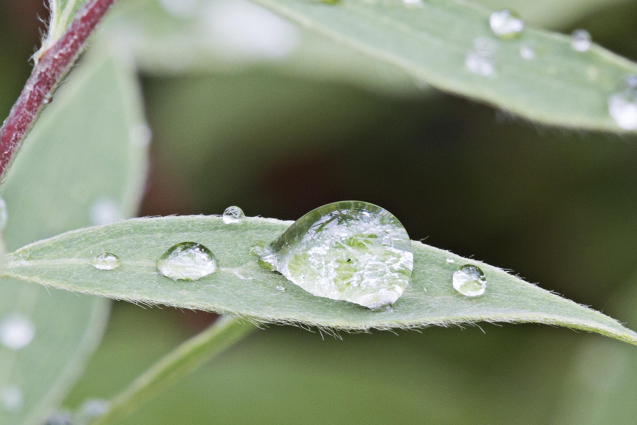 谷雨，春末的雨，农耕的诗 24节气中的谷雨节气解析